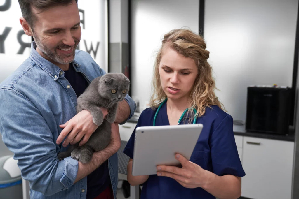 Qu'est-ce que le bilan chat senior ?