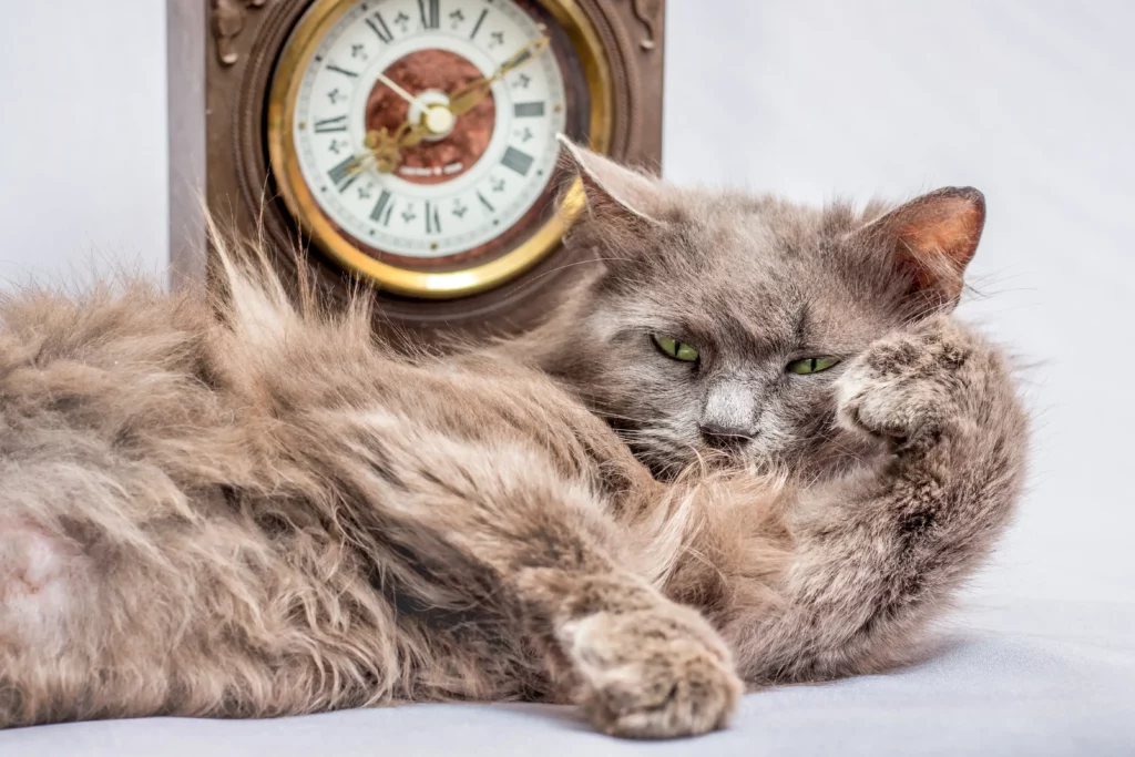 AdobeStock_211523241-1024x683