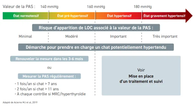 tableau-2-etape-4-protocole-veterinaire