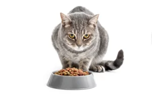 AdobeStock_531206985-300x199
