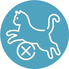 Pictogramme Mobilité Réduite