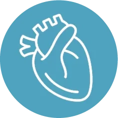 Pictogrammes des lésions cardiaques
