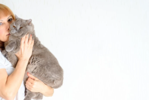 AdobeStock_220564682-1024x684