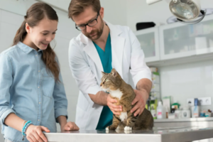 AdobeStock_288665638-scaled