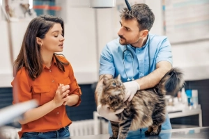 Femme qui apporte son chat chez le v&eacute;to