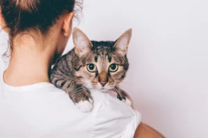 AdobeStock_370357044-300x200